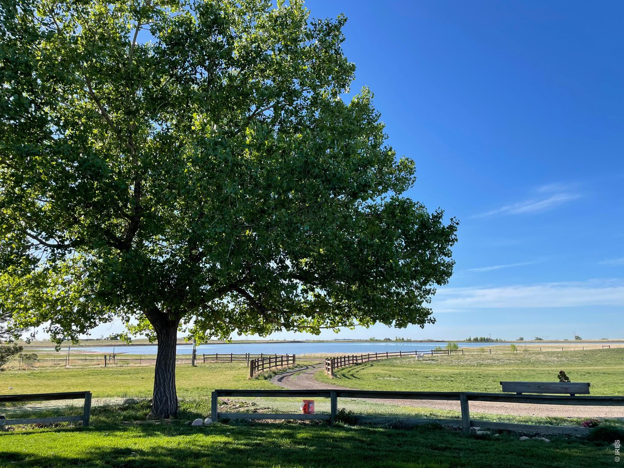 10320 Miners Lake Road Fort Collins, CO 80524 - Photo 41 of 44 Mature trees on the lot