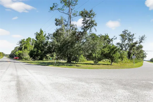 a backyard of a house with table and chairs plants and large tree