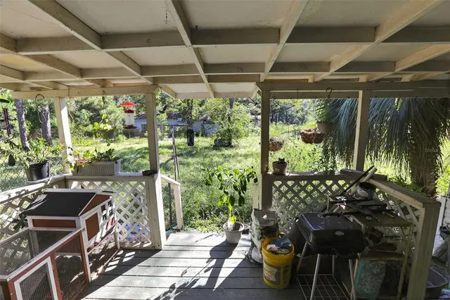 a view of a garden with trees