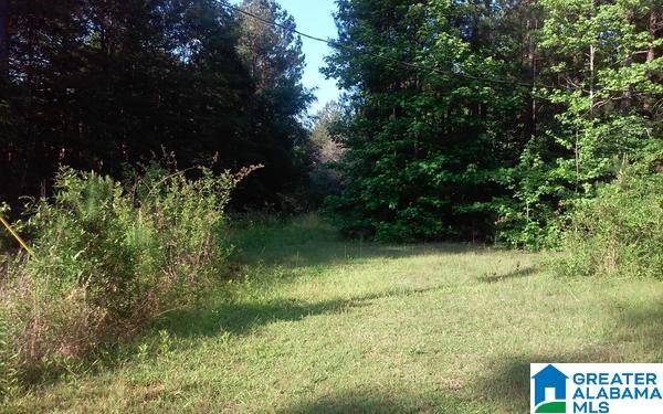 82 County Road, Unit 18 Wedowee, AL 36278 - Photo 7 of 12