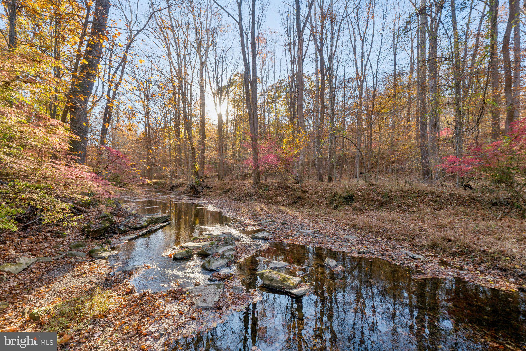 11610 Beall Mountain Road Potomac, MD 20854 - Photo 28 of 28 Scenic wooded setting with creek