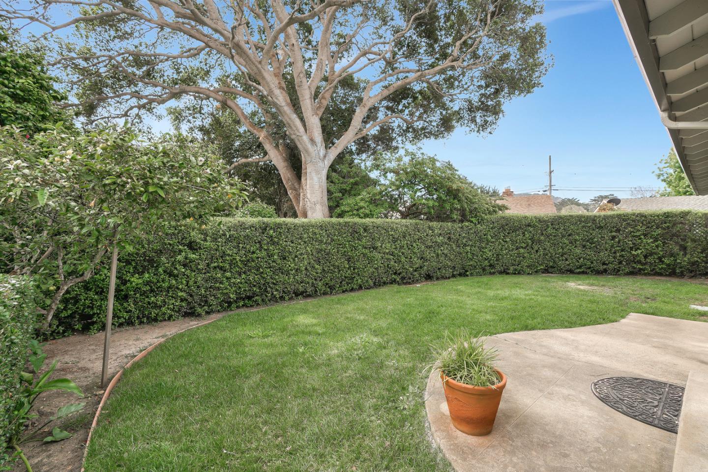 26419 Oliver Road Carmel, CA 93923 - Photo 30 of 35 a view of a backyard with potted plants and large trees