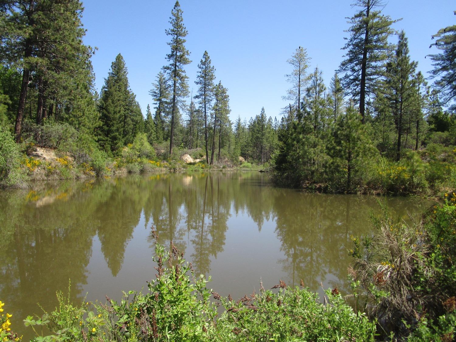 a view of a lake with a yard and mountain view