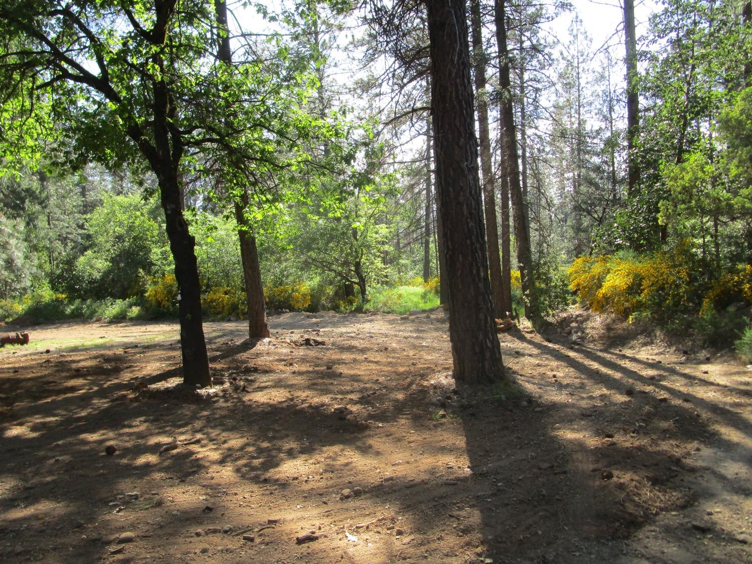 16289 Badger Hill Road Nevada City, CA 95959 - Photo 2 of 10 a view of a road with trees in the background