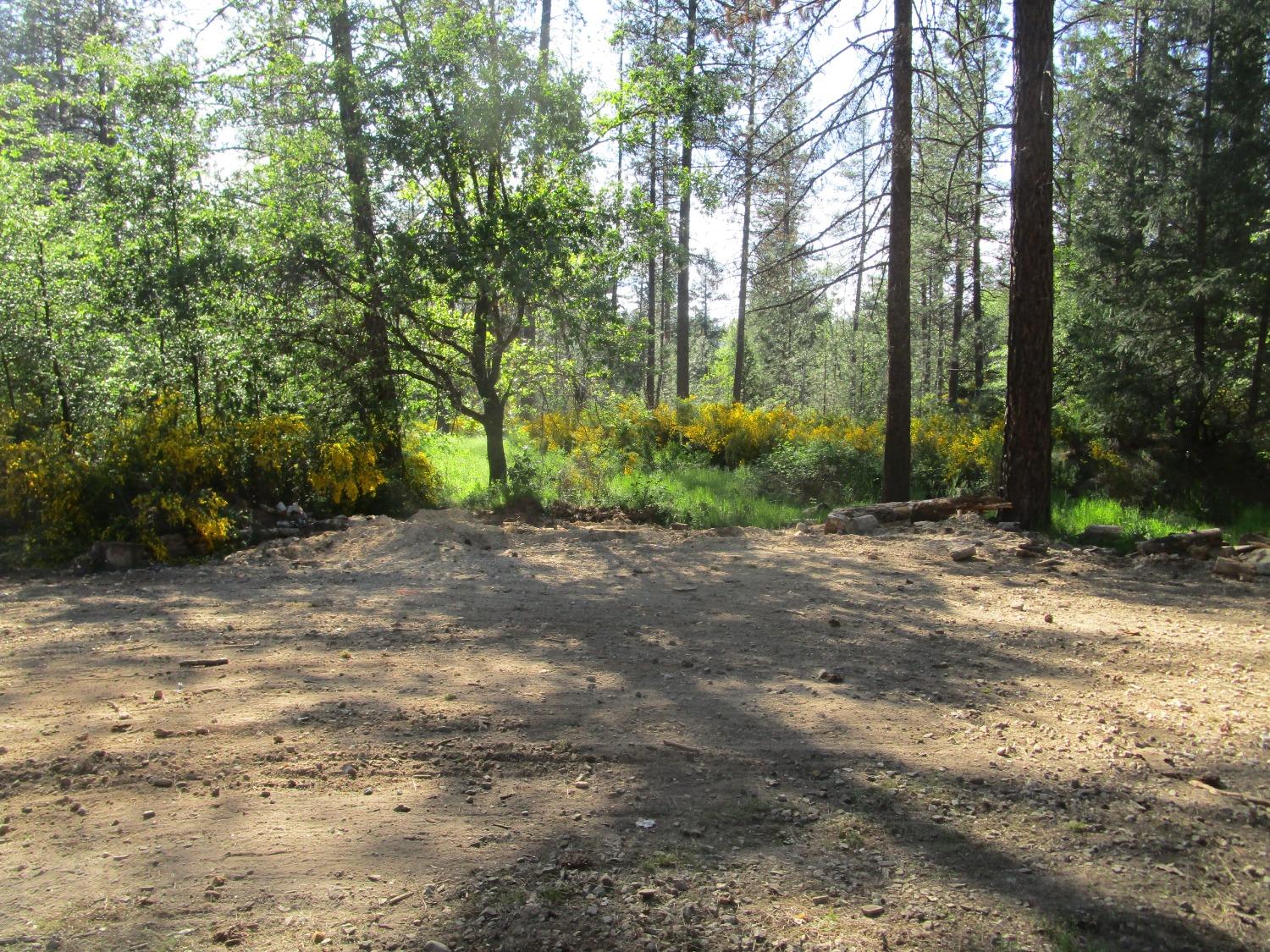 16289 Badger Hill Road Nevada City, CA 95959 - Photo 4 of 10 a view of a yard with plants and trees