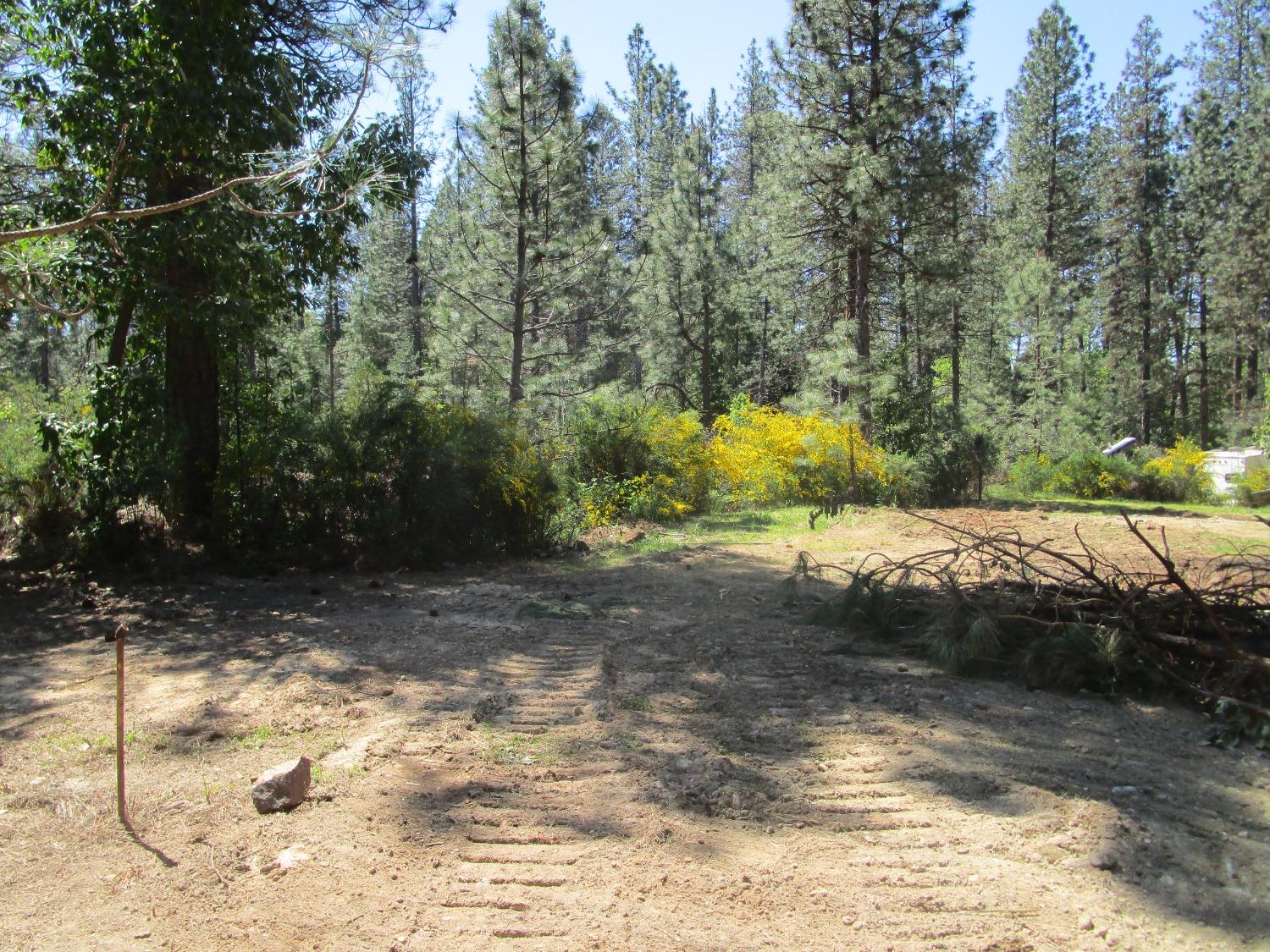 16289 Badger Hill Road Nevada City, CA 95959 - Photo 8 of 10 a view of a yard with plants and trees