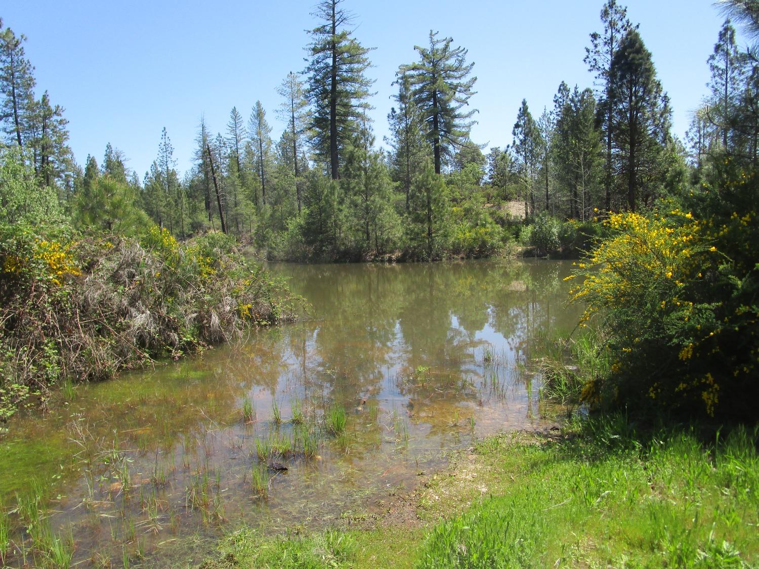 16289 Badger Hill Road Nevada City, CA 95959 - Photo 9 of 10 a view of a lake with houses in the back