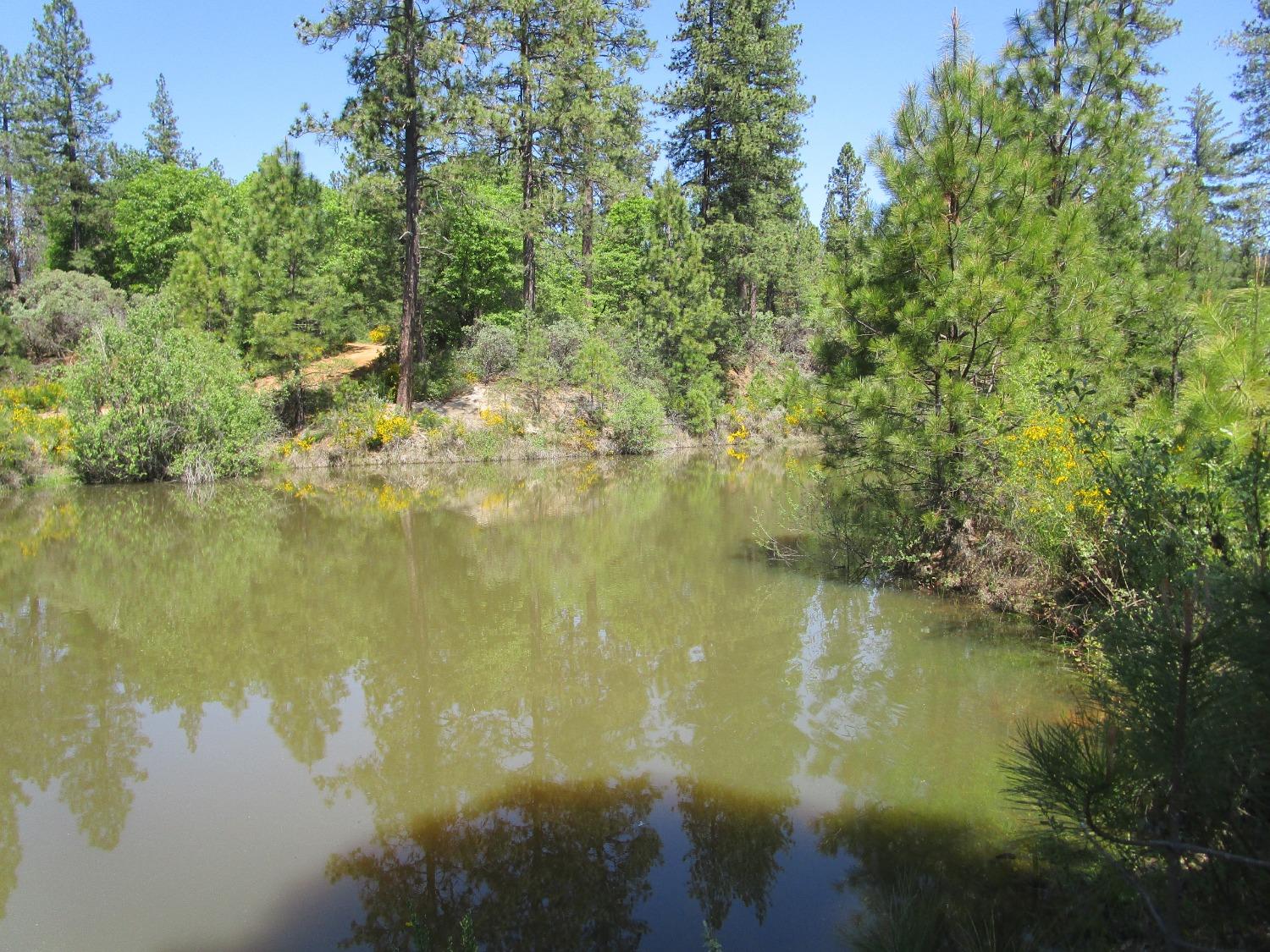 16289 Badger Hill Road Nevada City, CA 95959 - Photo 10 of 10 a view of lake with green space
