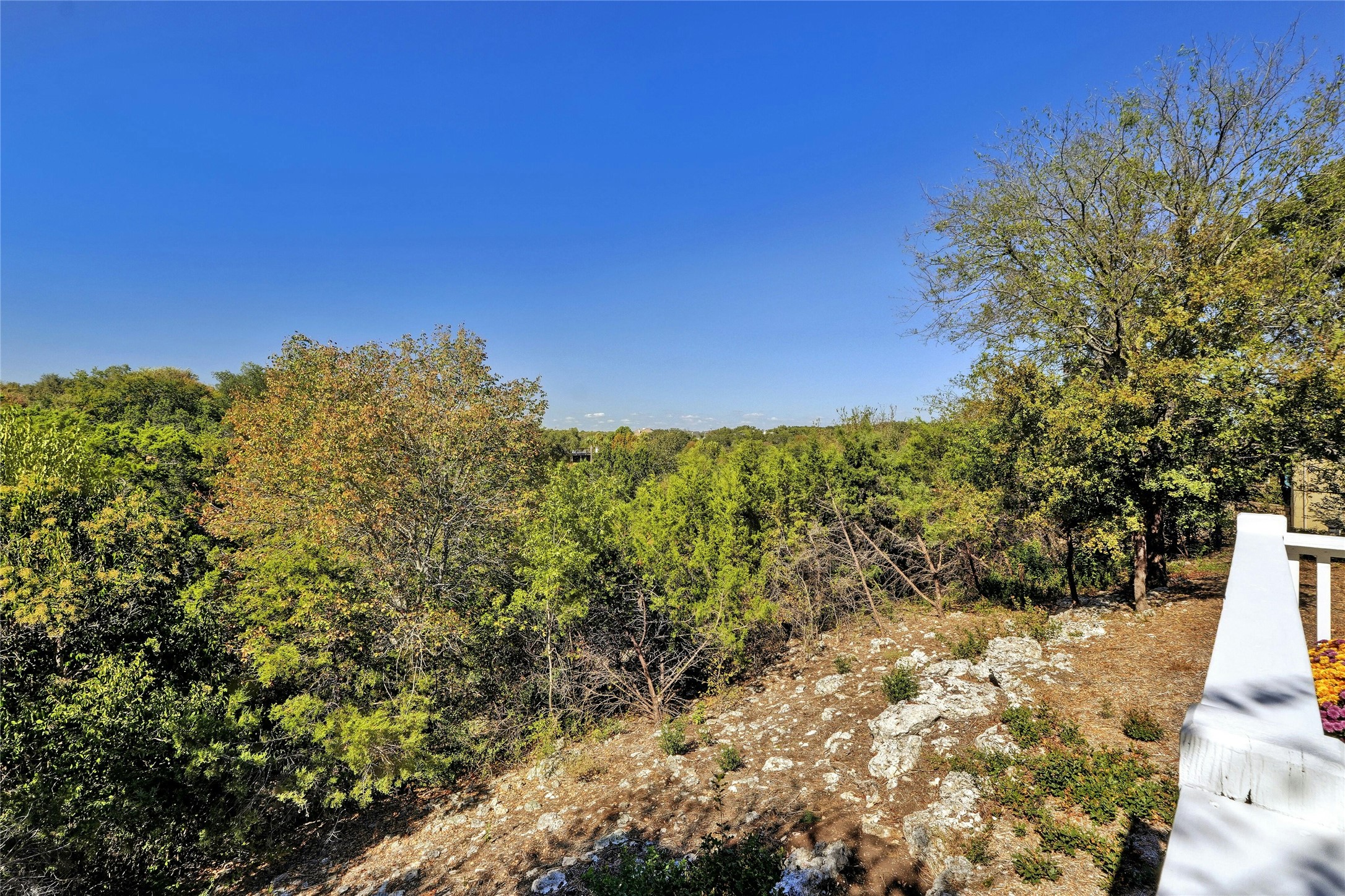 209 Overlook Court Georgetown, TX 78628 - Photo 34 of 35