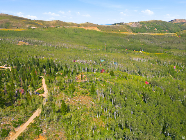 2495 West Spruce Road Park City, UT 84060 - Photo 4 of 8 Expansive mountainous terrain with abundant trees