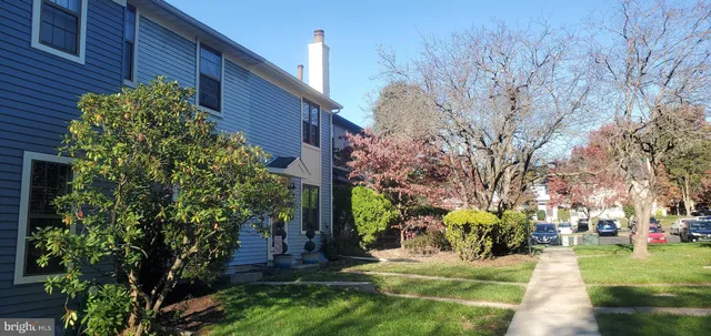 a view of a yard with plants and trees
