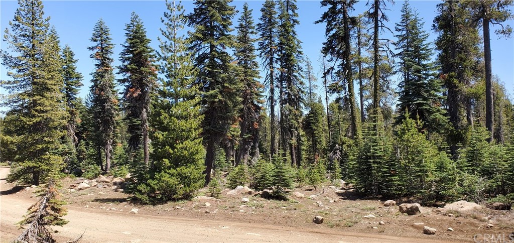 2 Balsam Meadows Forest Ranch, CA 95942 - Photo 1 of 1 Gallery Image 1