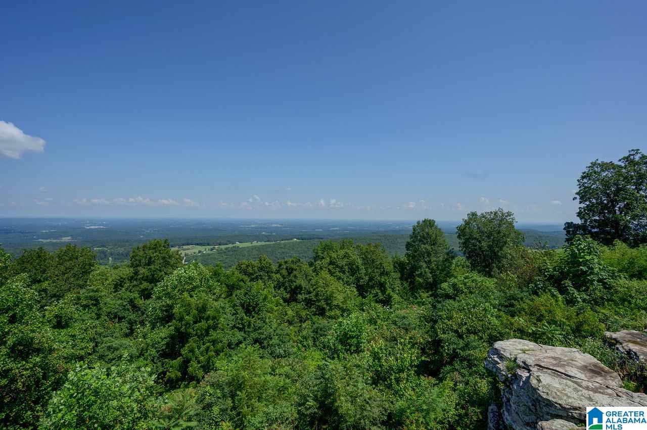 1458 Warnock Peak Road Hayden, AL 35079 - Photo 17 of 50