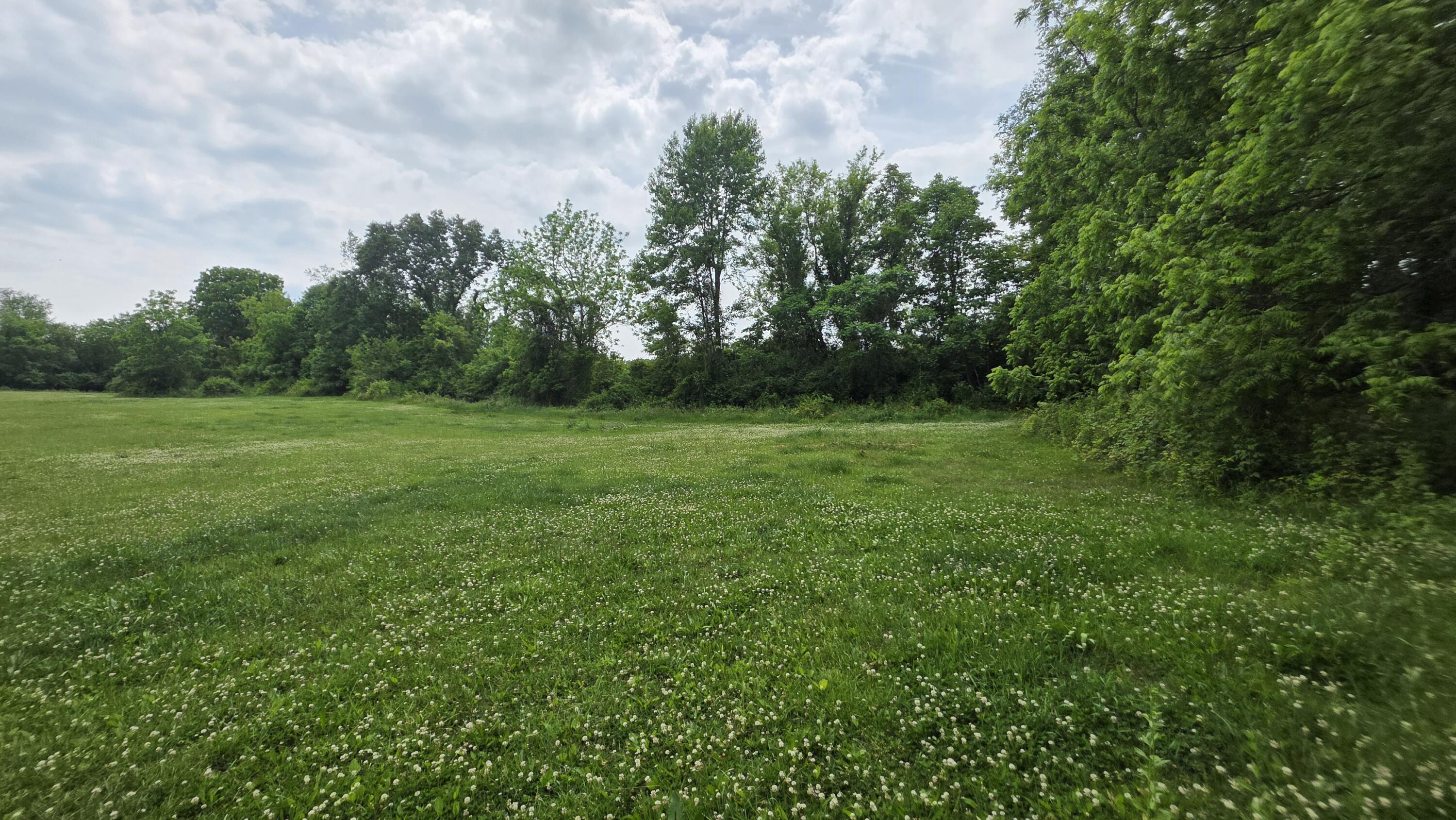 17281 Ely Road Manchester, MI 48158 - Photo 86 of 90 20260608_145717