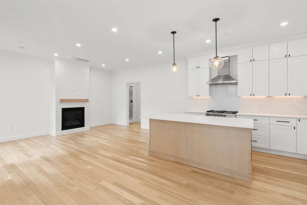 27 Shepard Street, Unit 3 Boston, MA 02135 - Photo 6 of 33
