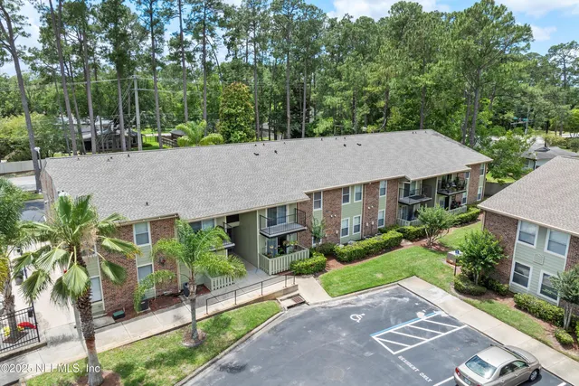 a aerial view of a house with a yard and potted plants
