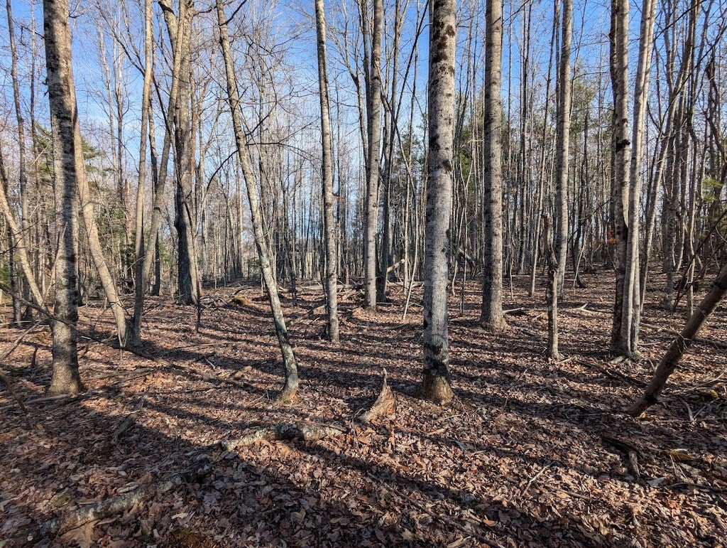 Tbd Coles Knob Road Northeast Pilot, VA 24138 - Photo 9 of 25 Gallery Image 9