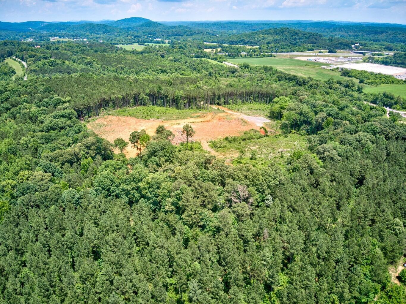 1 Greenwood Road Ringgold, GA 30736 - Photo 1 of 19 Gallery Image 1