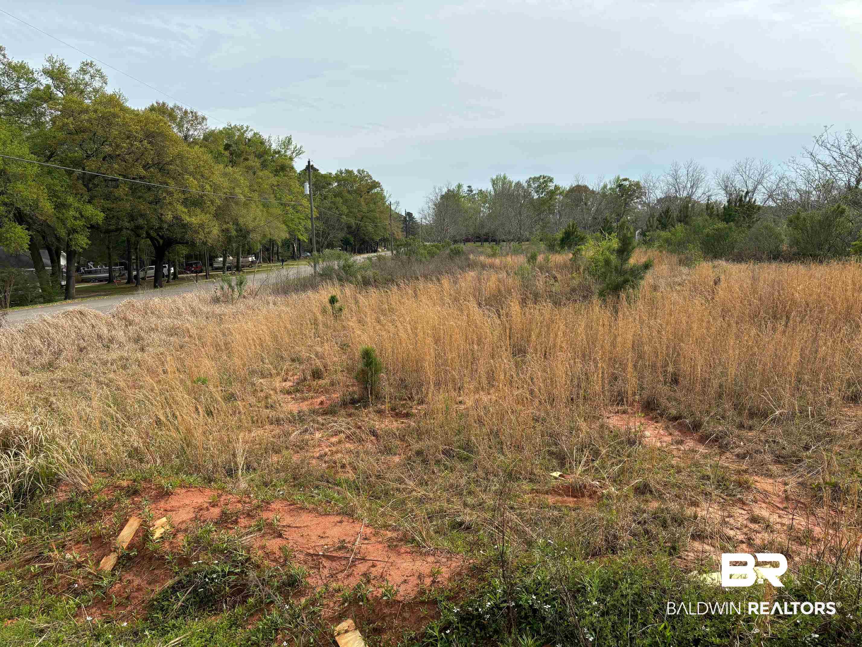3740 Latigo Road Mobile, AL 36695 - Photo 6 of 8 View of landscape