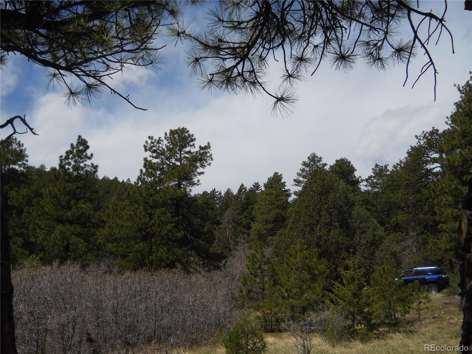 0 Yegge Road Morrison, CO 80465 - Photo 8 of 12 Gallery Image 8
