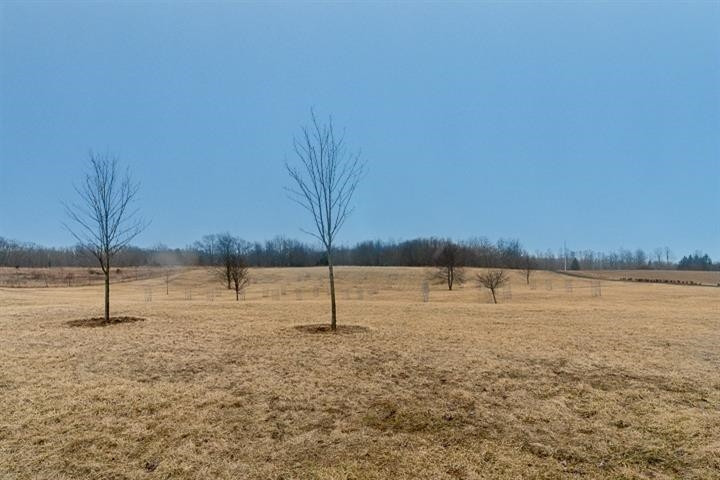 17650 Bethel Church Road Manchester, MI 48158 - Photo 4 of 53 Photo 4