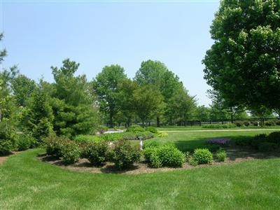 381 Harp Innis Road Lexington, KY 40511 - Photo 3 of 14 Photo 3