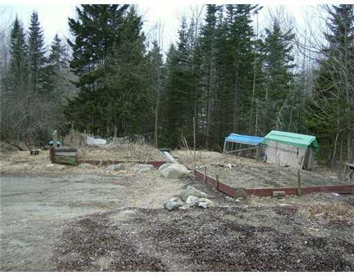 134 Ashville Road Sullivan, ME 04664 - Photo 6 of 25 Land.