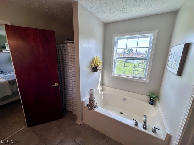 8742 Henderson Road Diamond, OH 44412 - Photo 26 of 37 Soaking tub and linen closet