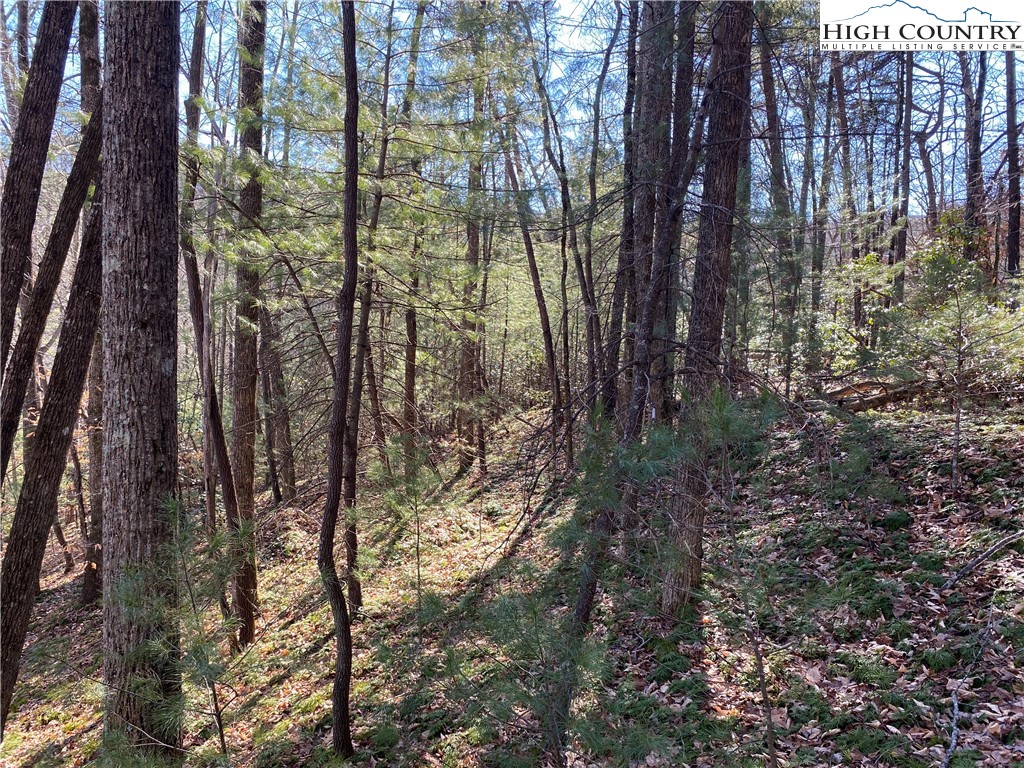 Lot 5 Summit Ridge Road Purlear, NC 28665 - Photo 11 of 30 a yard with lots of trees