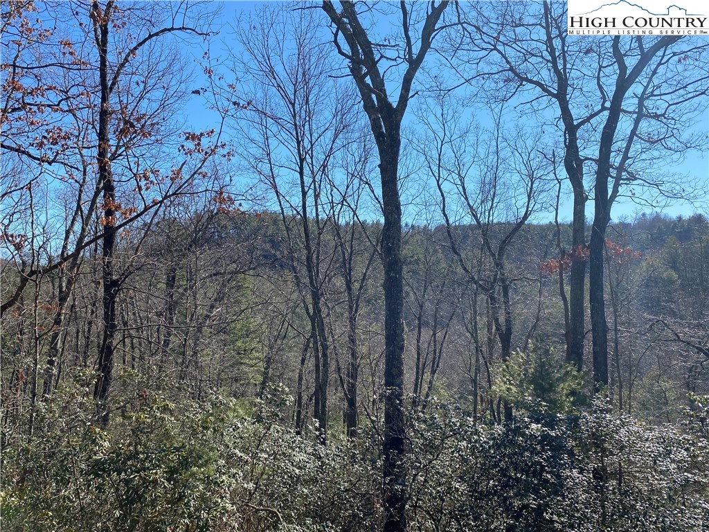 Lot 5 Summit Ridge Road Purlear, NC 28665 - Photo 16 of 30 a backyard of a house with lots of green space