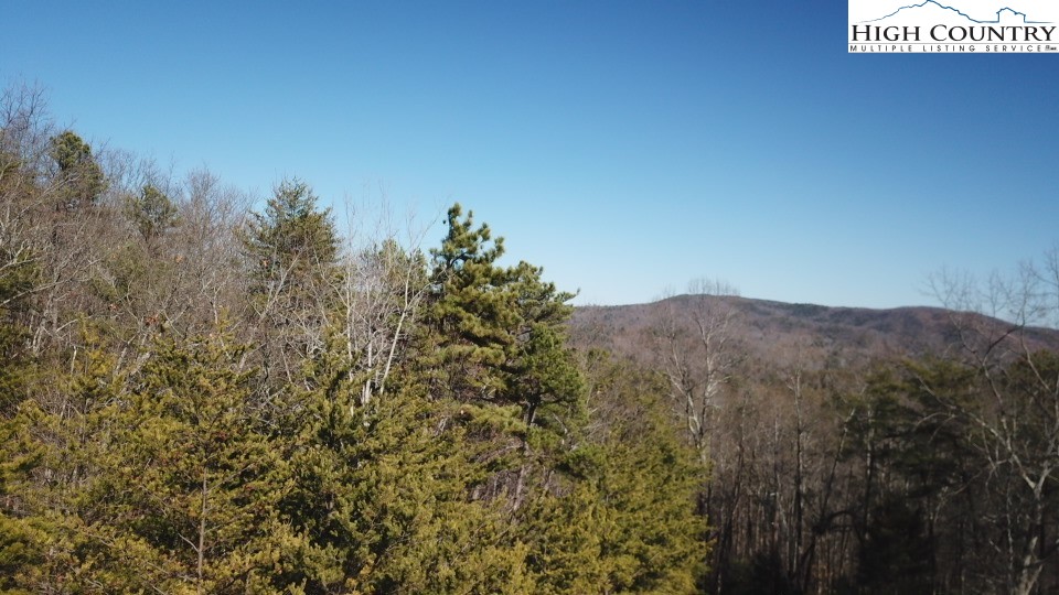 Lot 5 Summit Ridge Road Purlear, NC 28665 - Photo 3 of 30 a view of a field