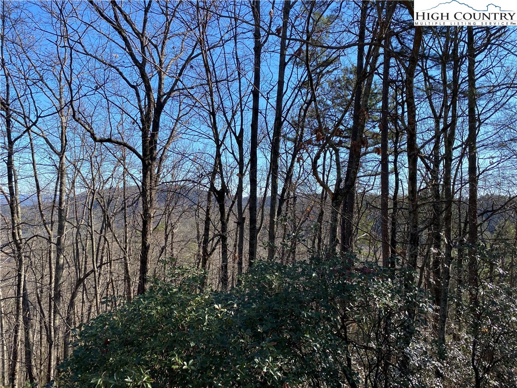 Lot 5 Summit Ridge Road Purlear, NC 28665 - Photo 5 of 30 an outdoor space with lots of trees