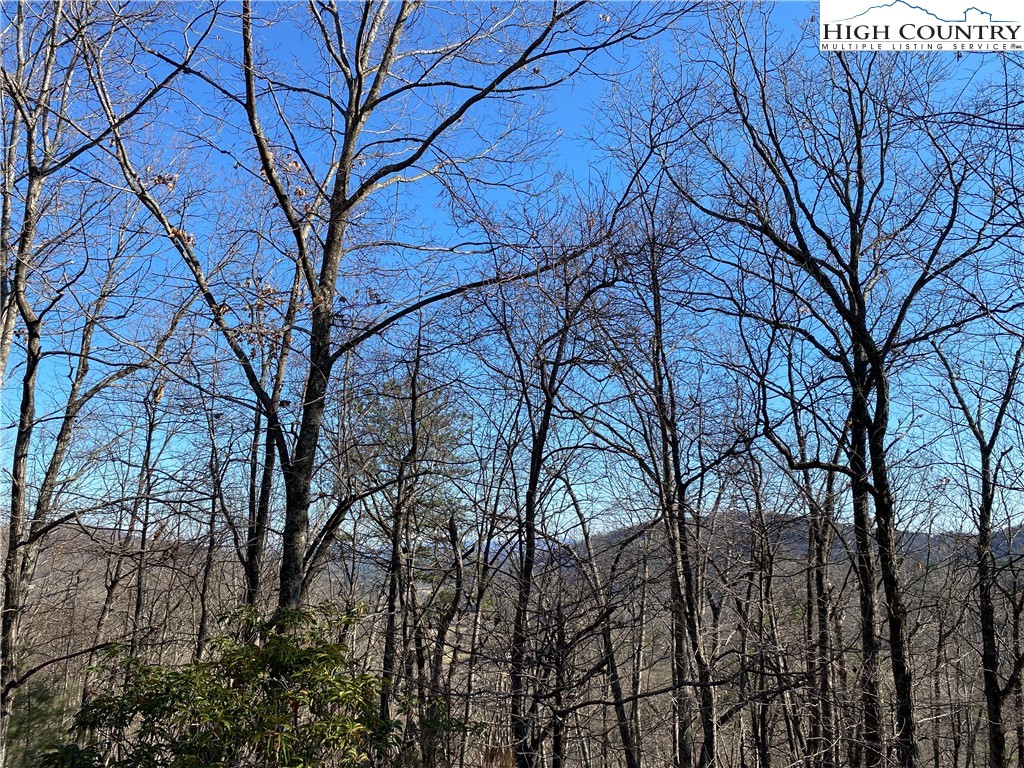 Lot 5 Summit Ridge Road Purlear, NC 28665 - Photo 6 of 30 a backyard of a house with large trees