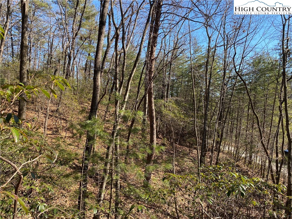 Lot 5 Summit Ridge Road Purlear, NC 28665 - Photo 8 of 30 a view of a yard