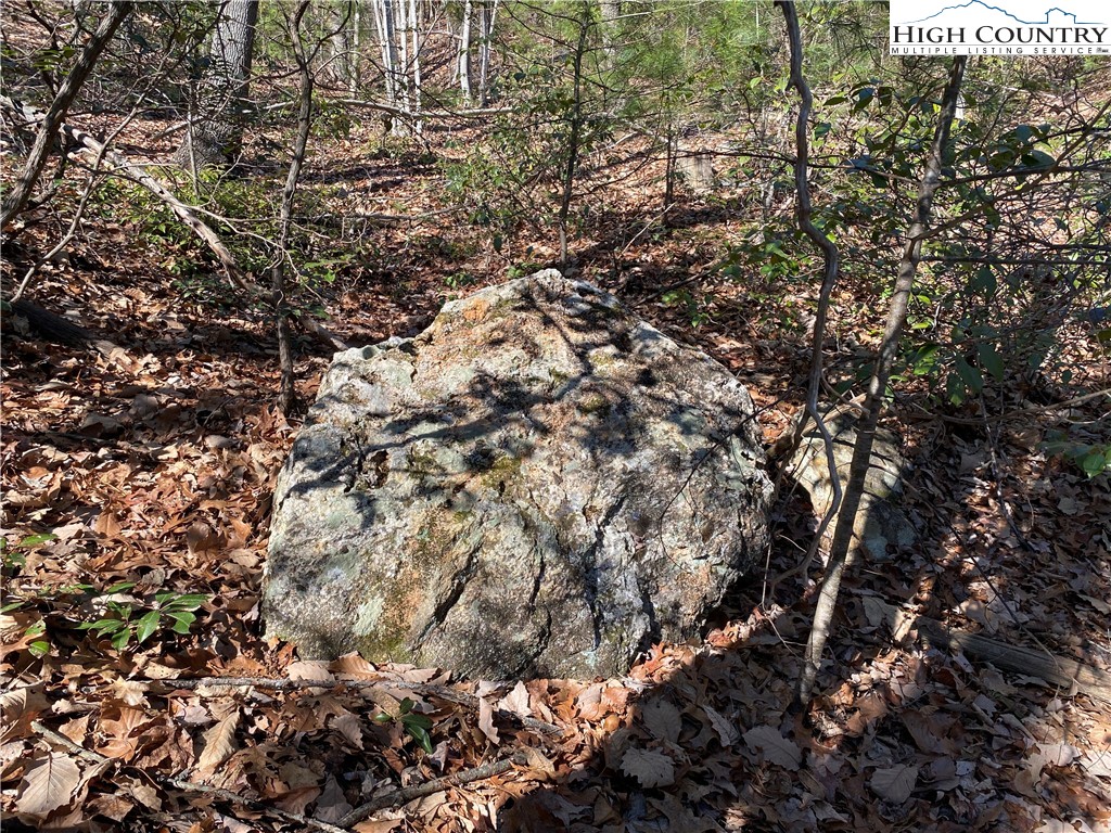 Lot 5 Summit Ridge Road Purlear, NC 28665 - Photo 10 of 30 a view of a tree