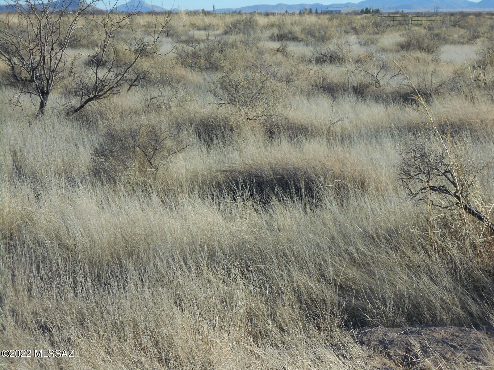 20 Acres 6x Ranch Road Cochise, AZ 85606 - Photo 1 of 24