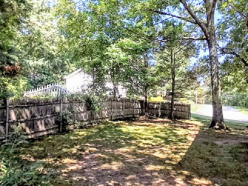 Yard/Garden.