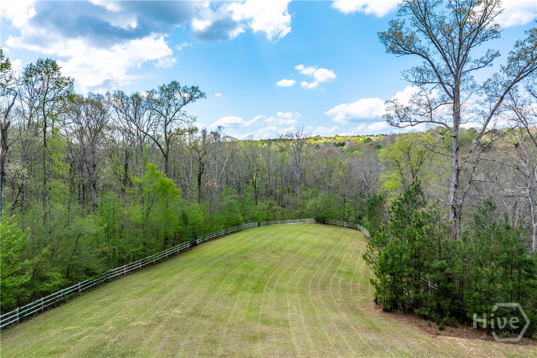 1580 Bob Godfrey Road Athens, GA 30605 - Photo 51 of 73