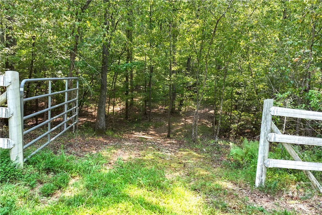 1580 Bob Godfrey Road Athens, GA 30605 - Photo 52 of 73