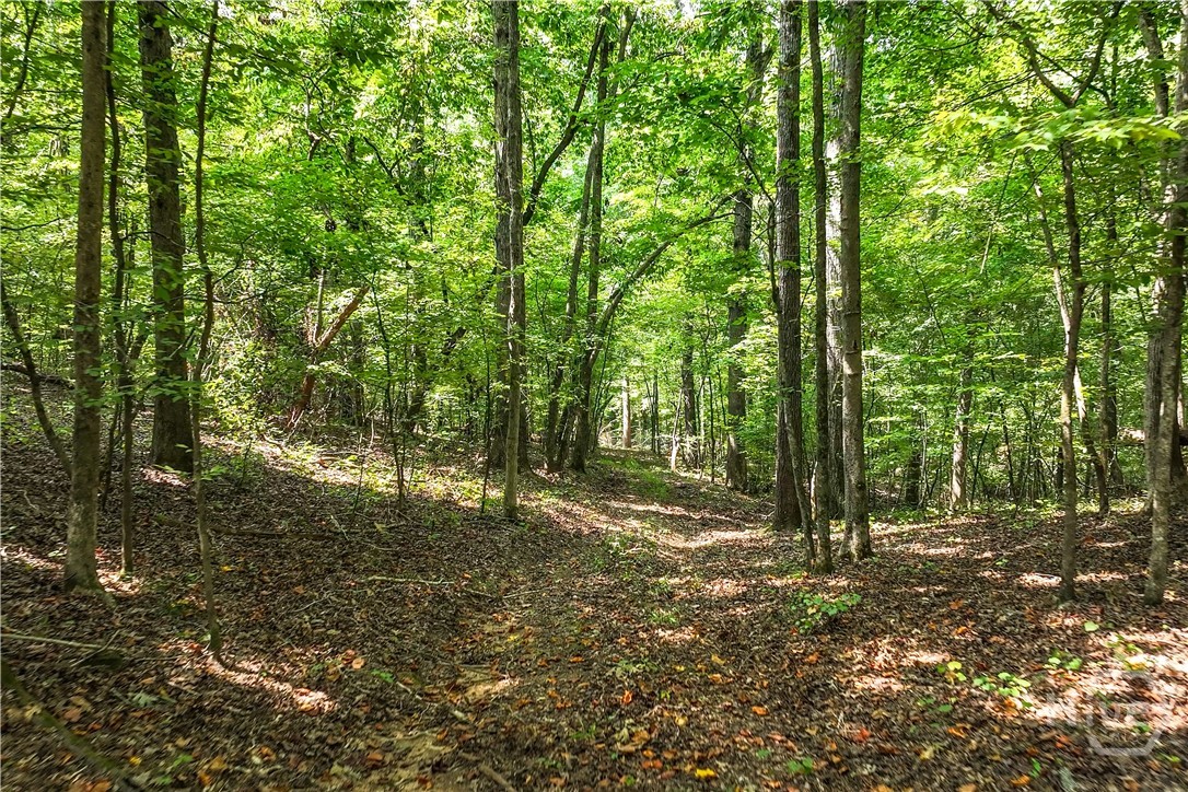 1580 Bob Godfrey Road Athens, GA 30605 - Photo 53 of 73