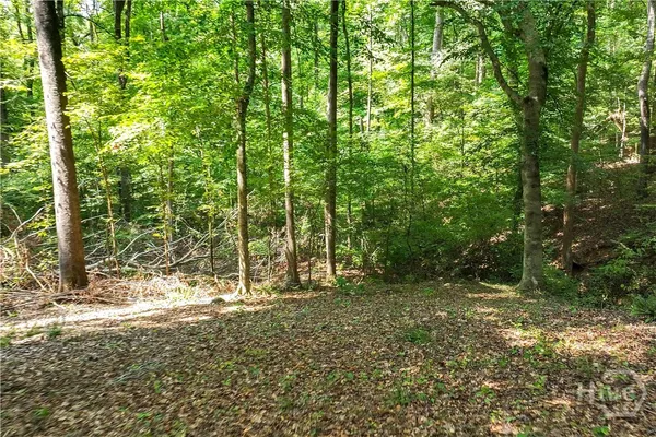 $1,790,000 | 1580 Bob Godfrey Road, Athens, GA 30605