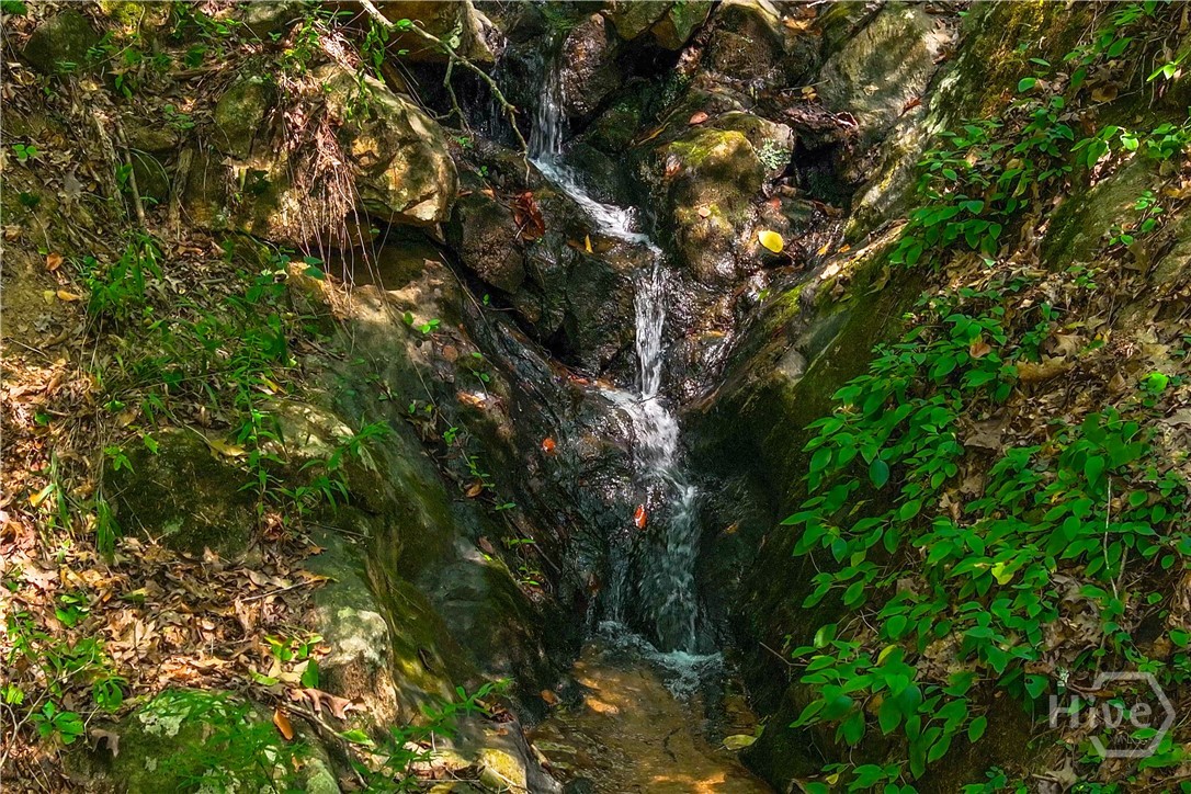 1580 Bob Godfrey Road Athens, GA 30605 - Photo 55 of 73