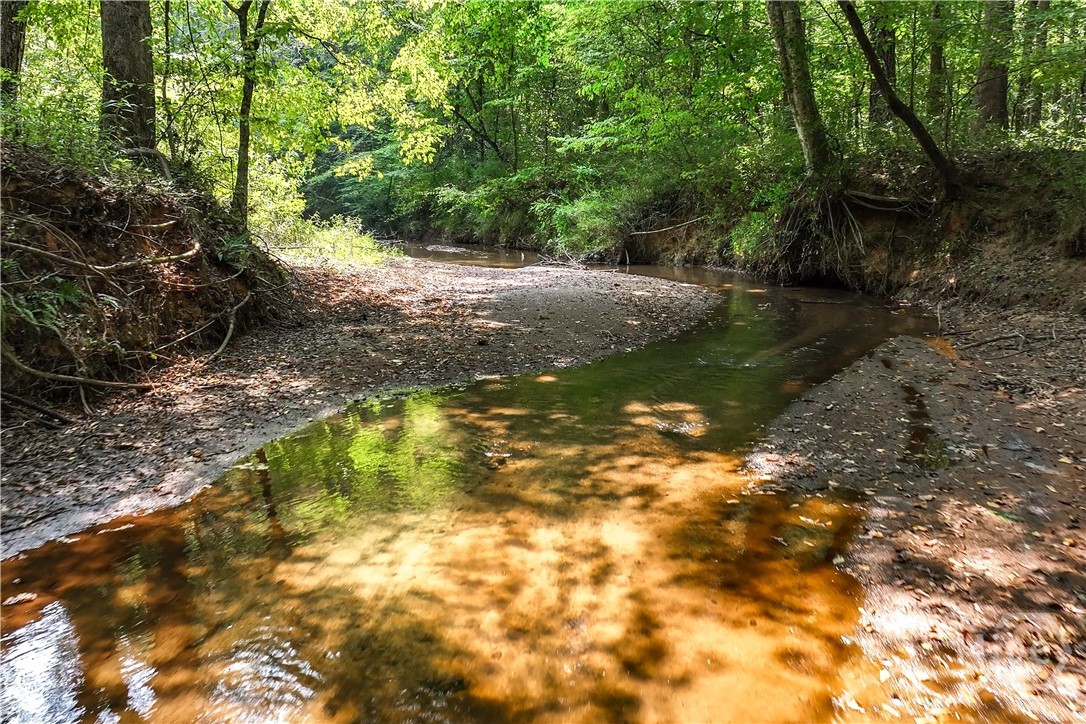 1580 Bob Godfrey Road Athens, GA 30605 - Photo 56 of 73