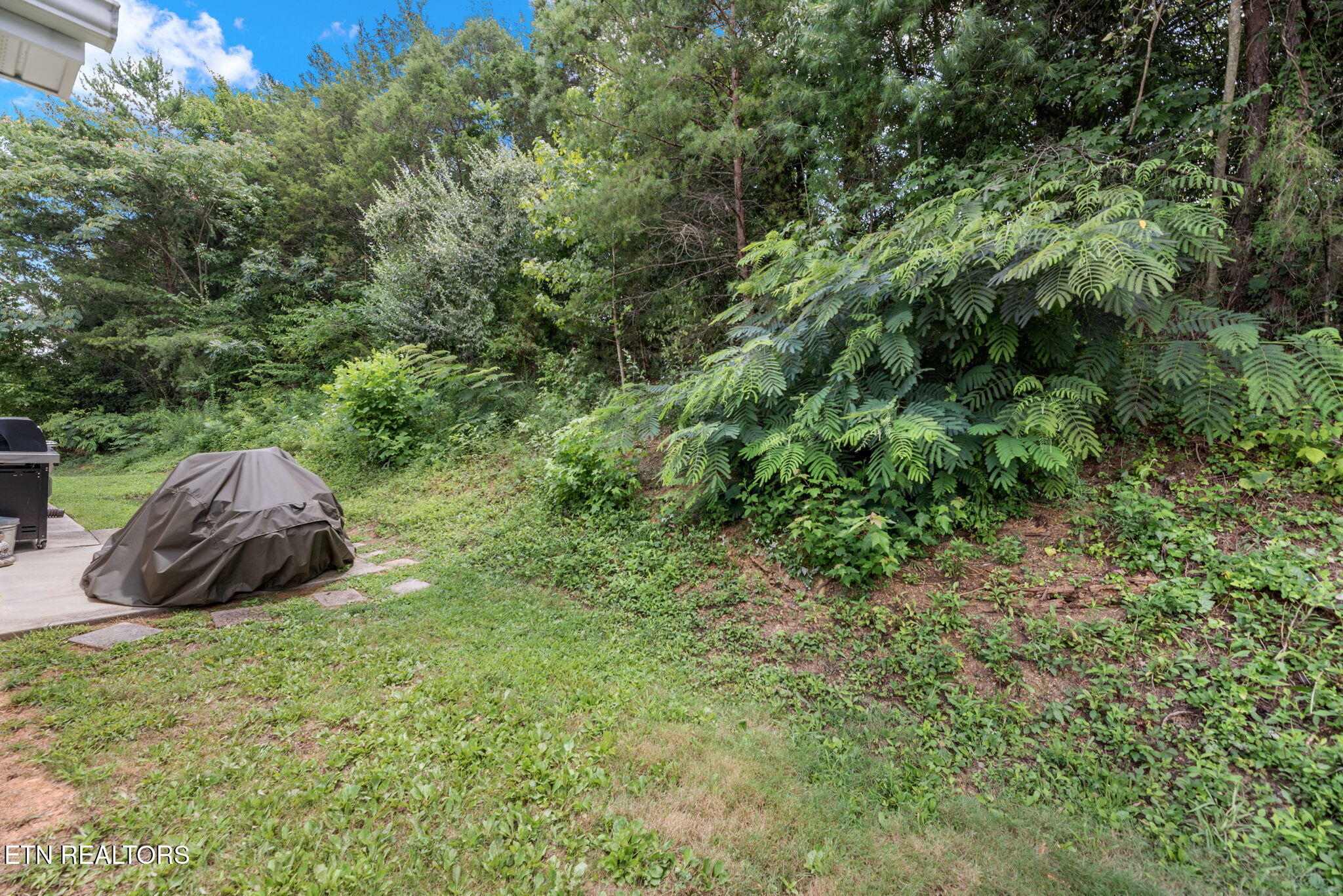 7609 Wilderness Path Road Corryton, TN 37721 - Photo 31 of 31 31-web-or-mls-WldrnssPth7609 (76)