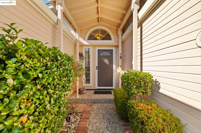 a view of a pathway with flower pots