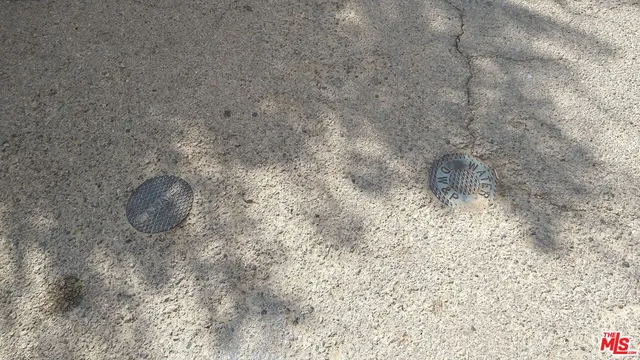 a view of a forest with trees in the background