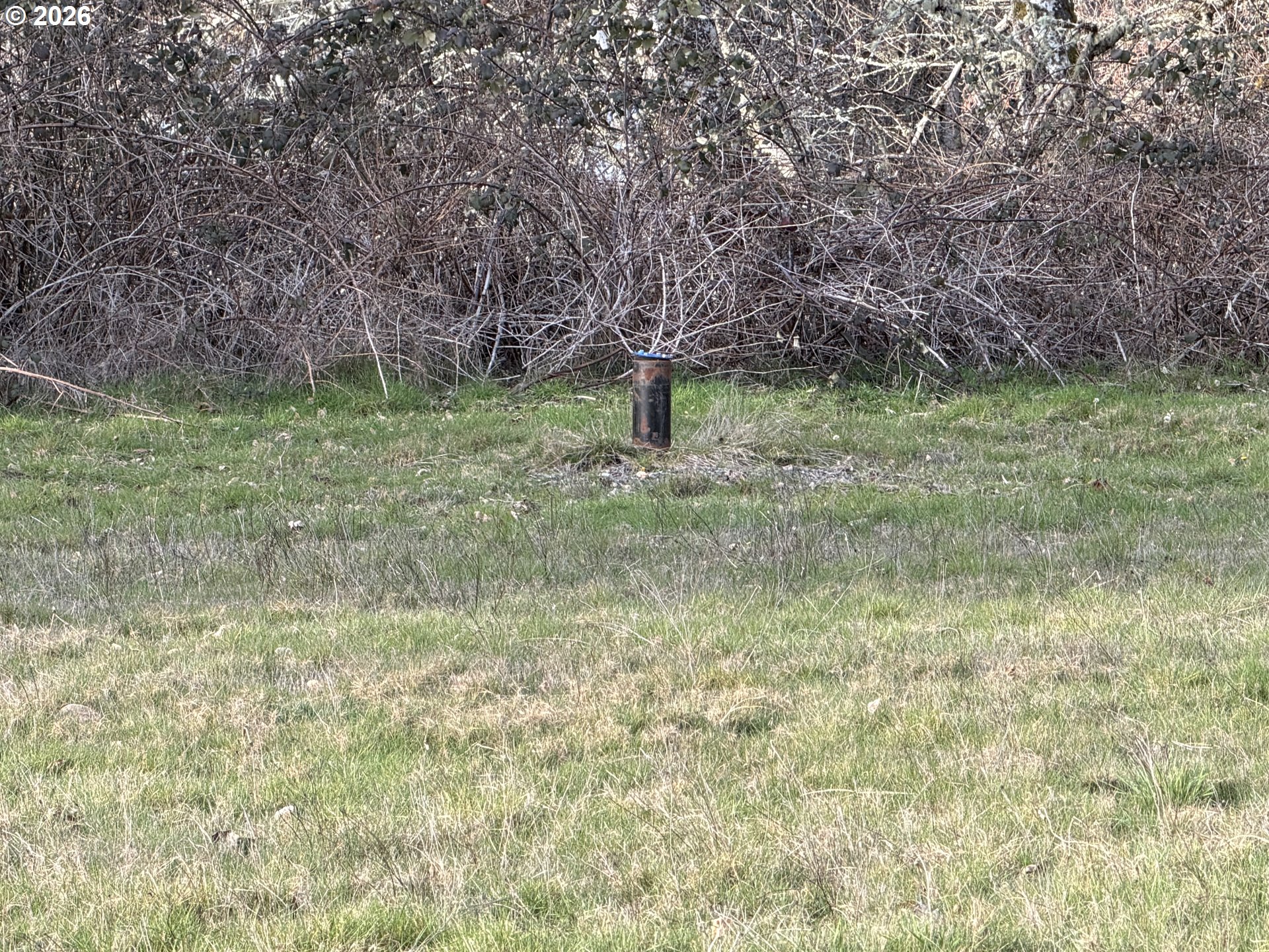 0 Omlid Drive, Unit 10 Springfield, OR 97478 - Photo 16 of 23