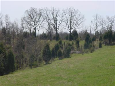 735 Mountain Island Road Corinth, KY 41010 - Photo 6 of 14 Photo 6