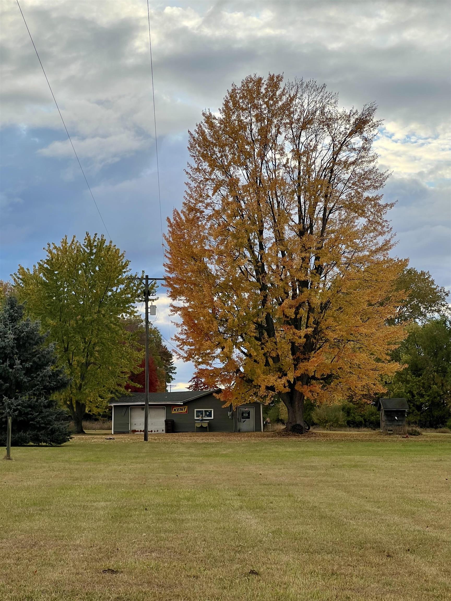 8410 East Pierce Road Ithaca, MI 48847 - Photo 6 of 40