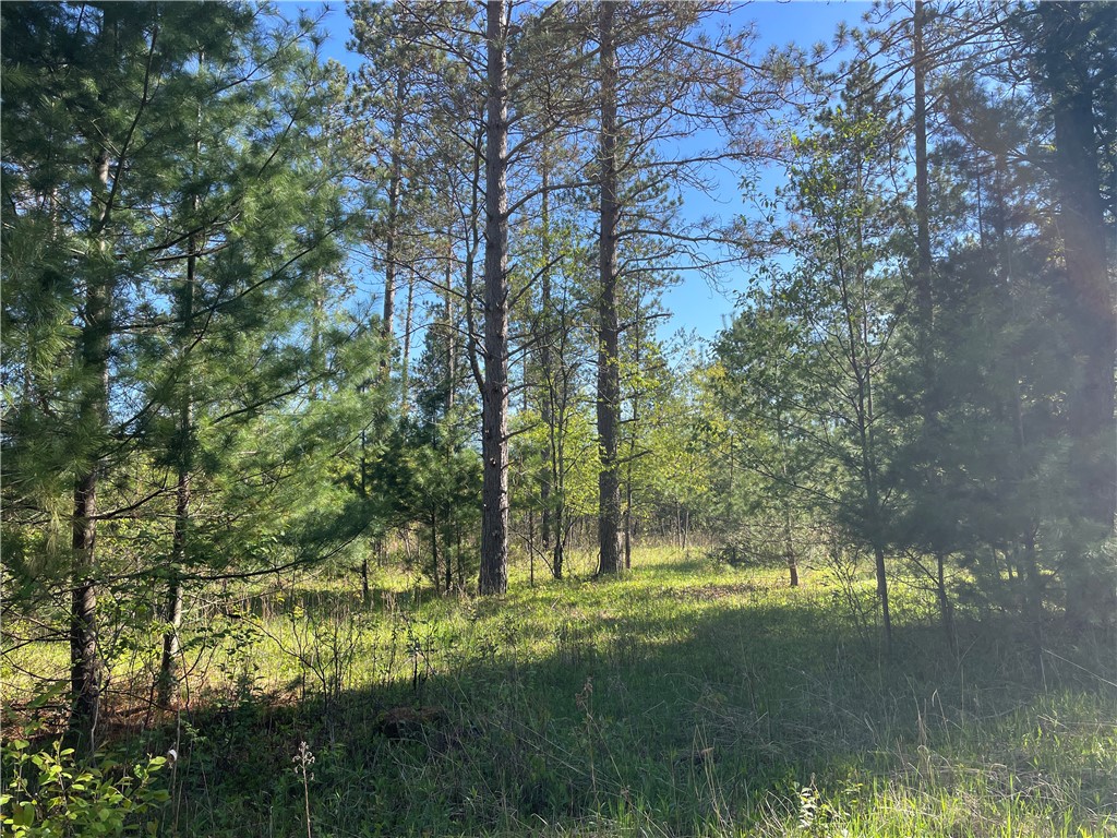 Lot 2 Murphy Boulevard Hayward, WI 54843 - Photo 3 of 10